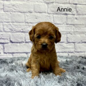 Annie