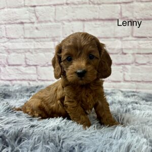 Lenny